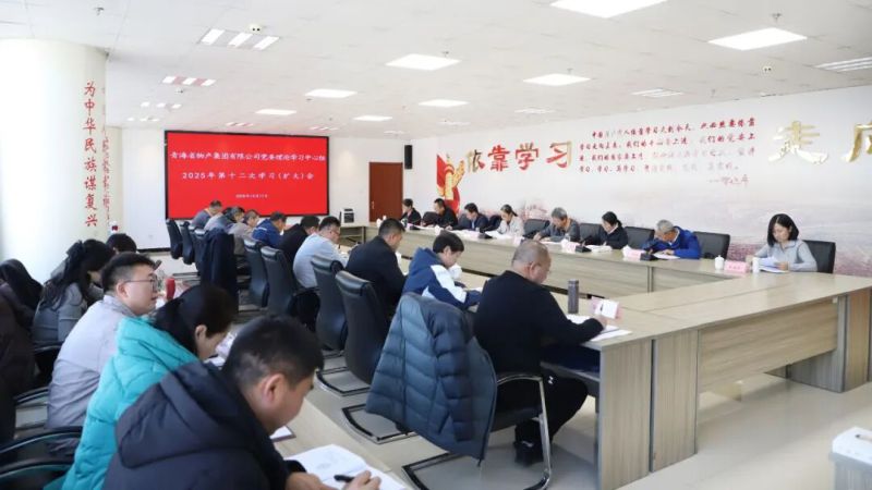 集團黨委理論學習中心組召開2025年第十二次學習（擴大）會