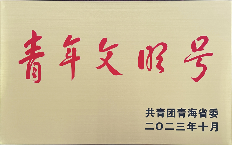 青海省臨空經(jīng)濟(jì)區(qū)開(kāi)發(fā)投資有限公司榮獲 &ldquo;第21屆青海青年文明號(hào)&rdquo;